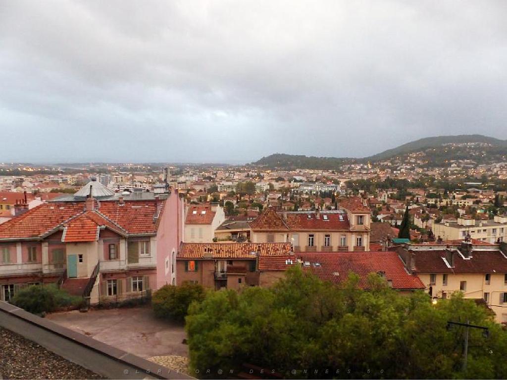 183 HYERES ET SES PALMIERS D14_000005.jpg